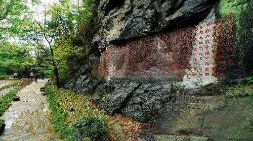 bfe6c68b4ec4246bfbe2ce87ba994aed-sz_54570