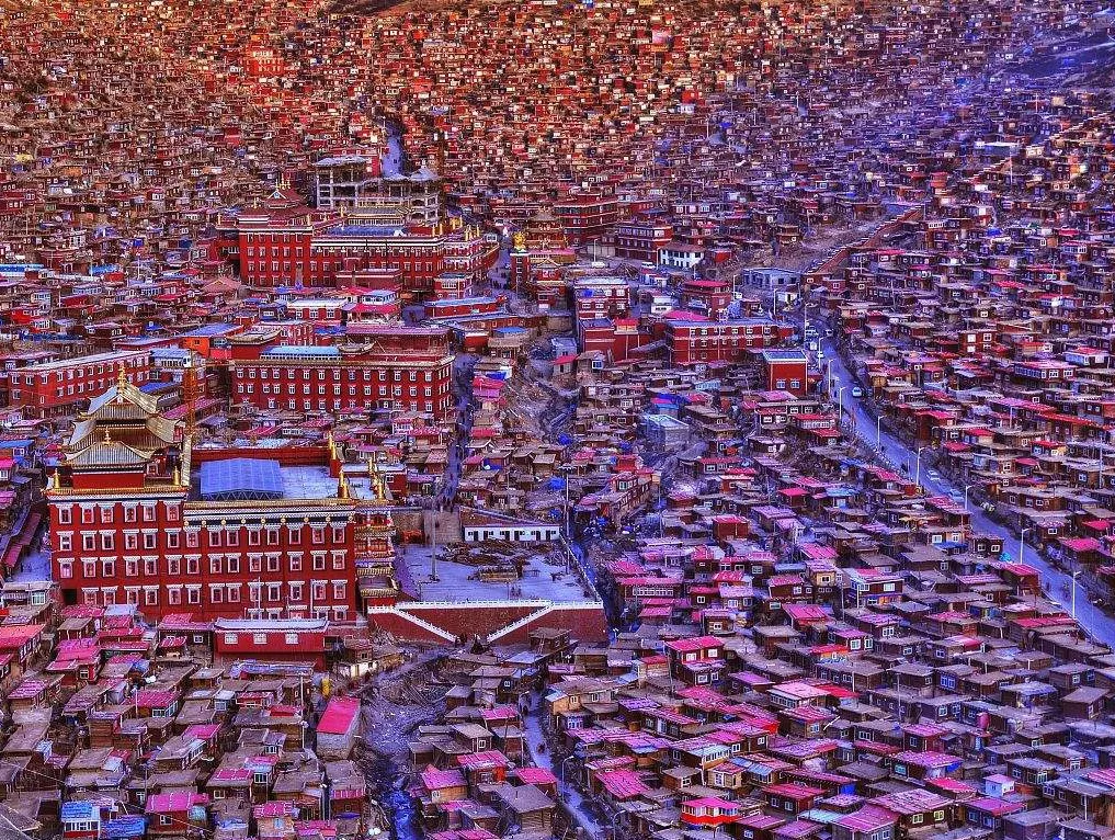 bffe8c76c2ed6c25c5c7351a3d7702b1-sz_1202998