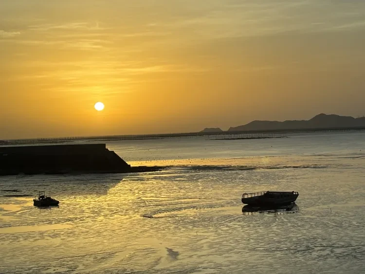 c00ce1e5211d5227f432d93194d76983-sz_3391788