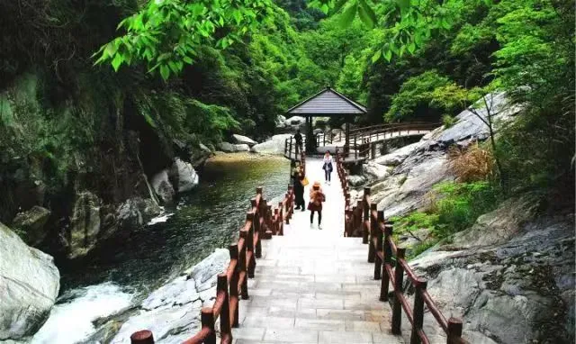 c04b29b68b91f3ccb1d8800aebb49835-sz_70261