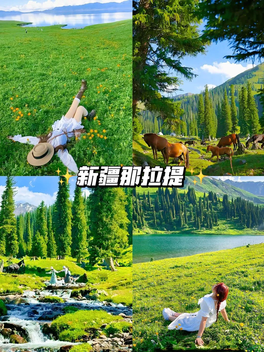 c05f7dd8f0ce0bbdc0b90762d917a0ce-sz_3954545