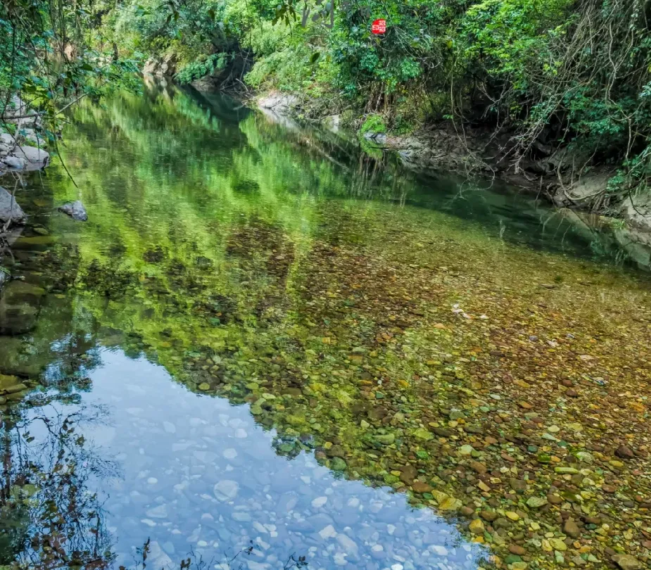 c07c0fb068de0e8114036fbc81ef2b71-sz_3115634 c07c0fb068de0e8114036fbc81ef2b71-sz_3115634