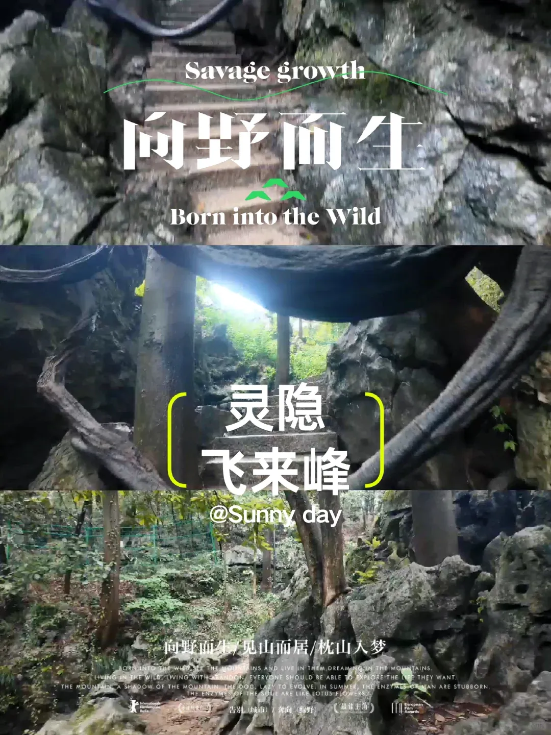 c16272a0b415c5e361ac4272c256ce28-sz_1991323-1