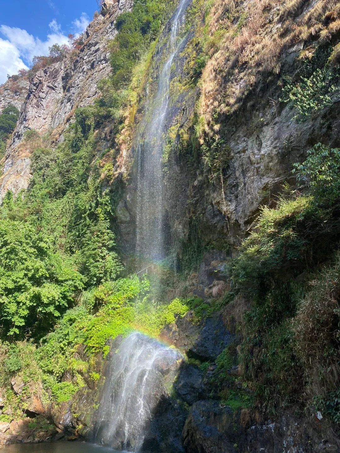 c1ab9bc80fe0502616b0797ca04d4af9-sz_4225766