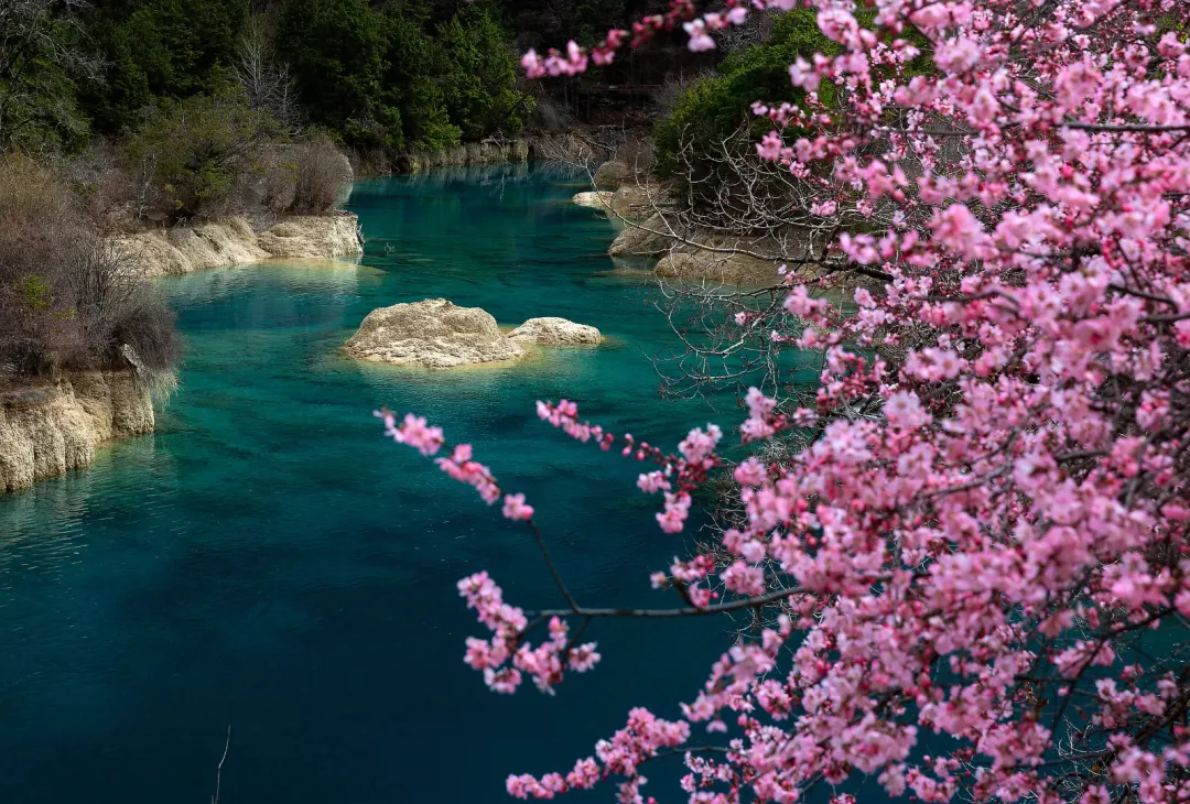 c1cf16df1cecdd9ce10d6f010dbf09f1-sz_3386068 c1cf16df1cecdd9ce10d6f010dbf09f1-sz_3386068