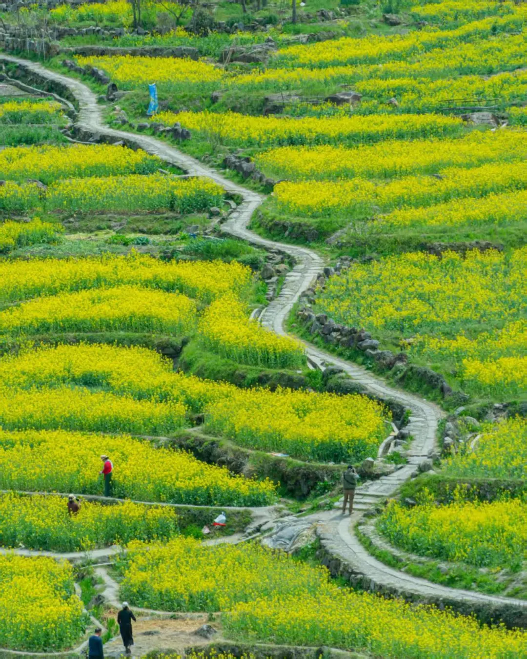 c1f566f21ed31c5b1a263324a33c582a-sz_415966