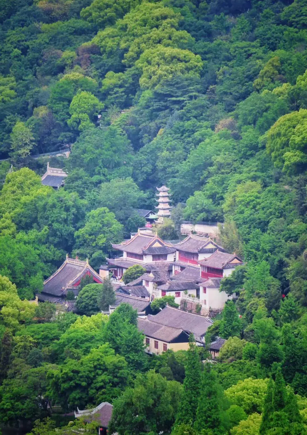 c21826ea31be69c808235103a492676f-sz_323154