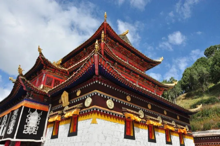 c2290ac61b28fcbb0b5aeb0b12c06817-sz_93315