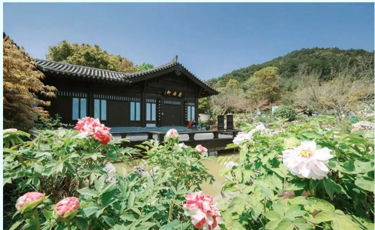 c2b80196de32303ca8dcc138ae22eb49