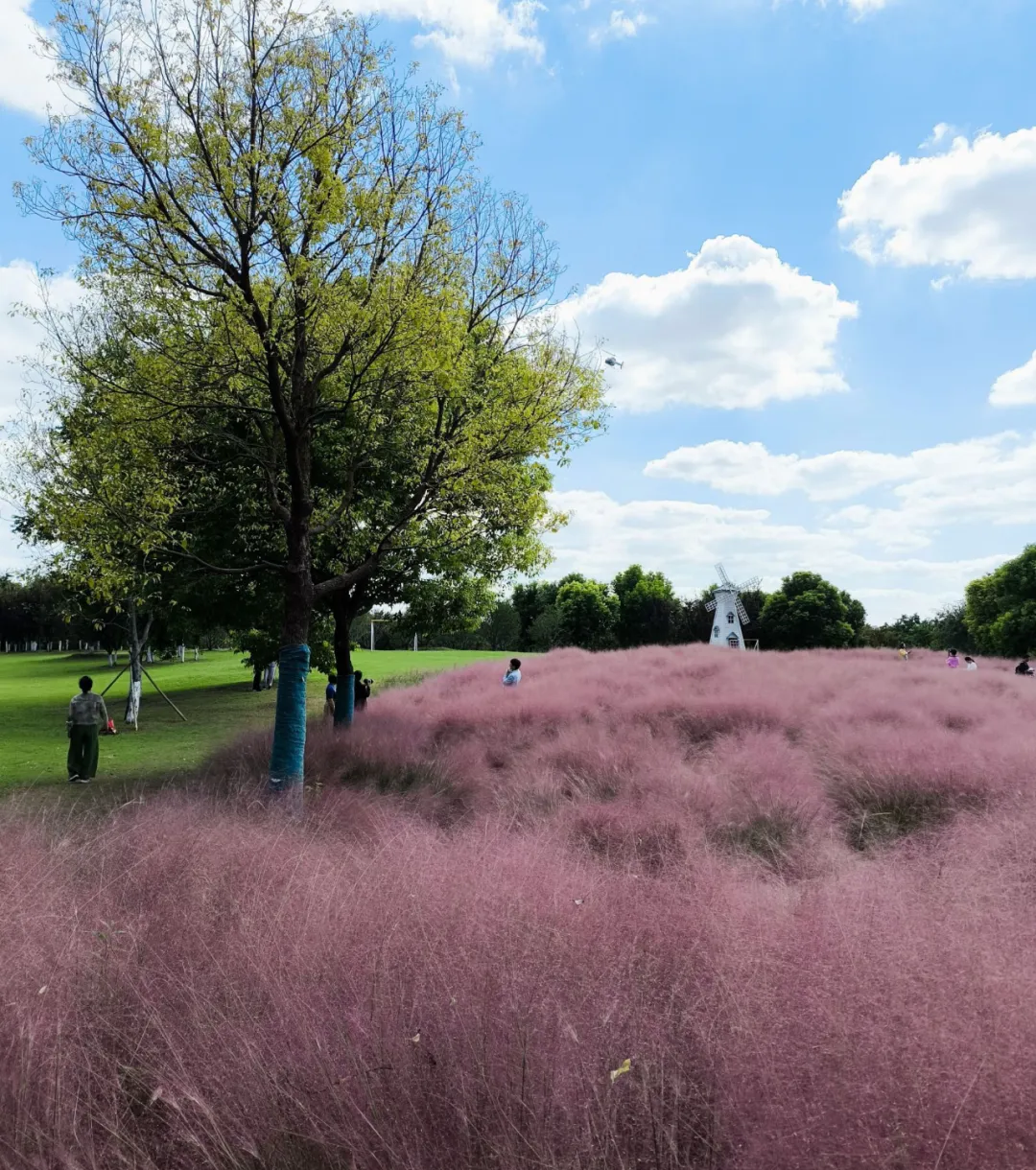 c2dd5b452572afd2a740987ee9a38284-sz_2213473-1