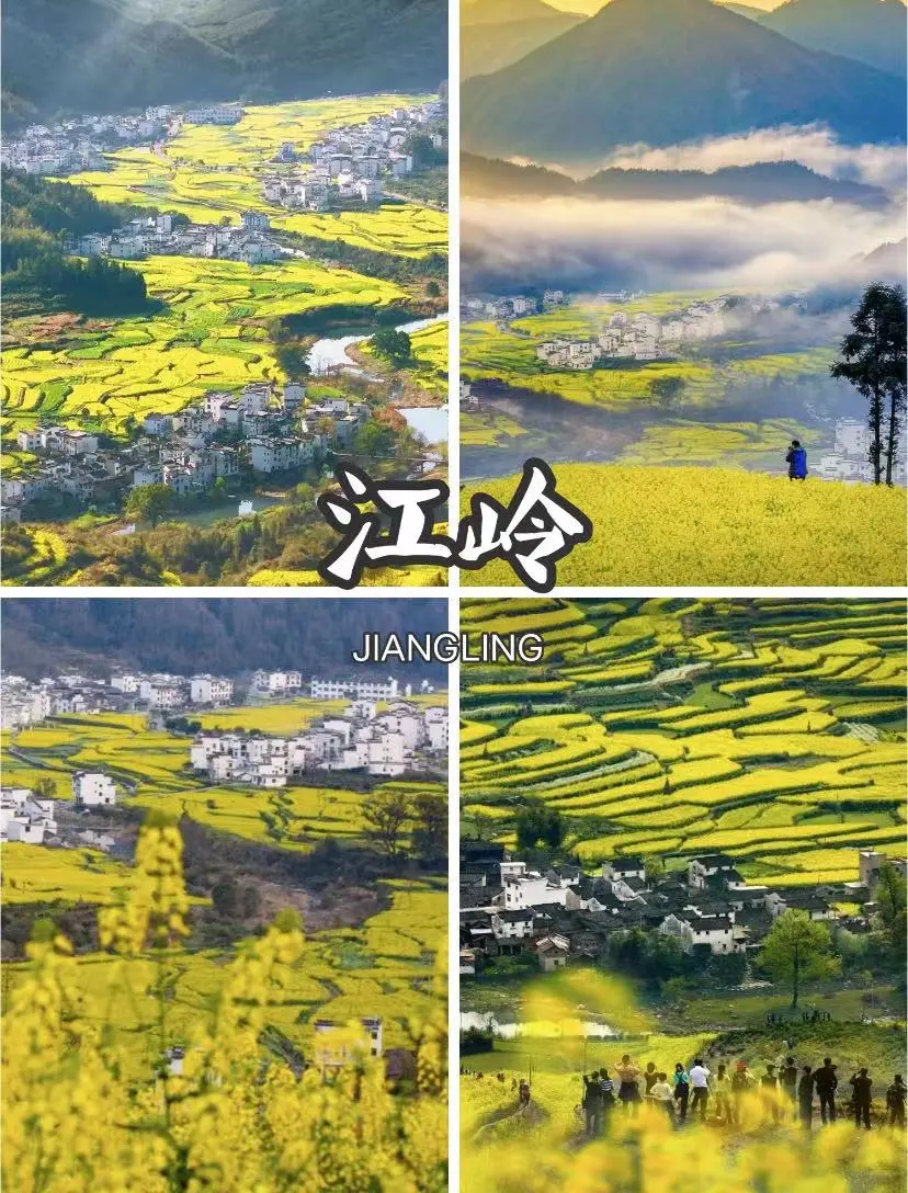 c3189c978120a5cb1384b6782253601a-sz_204510 c3189c978120a5cb1384b6782253601a-sz_204510