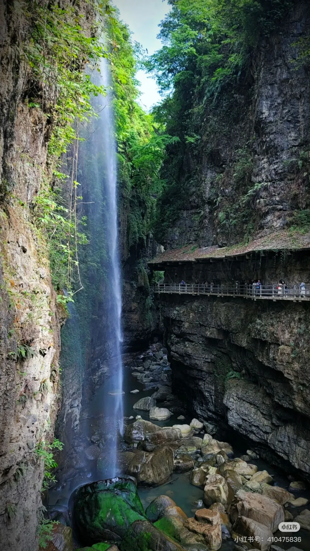 c3ca400258a4efadf8e5b685c7c2e0d7-sz_875198