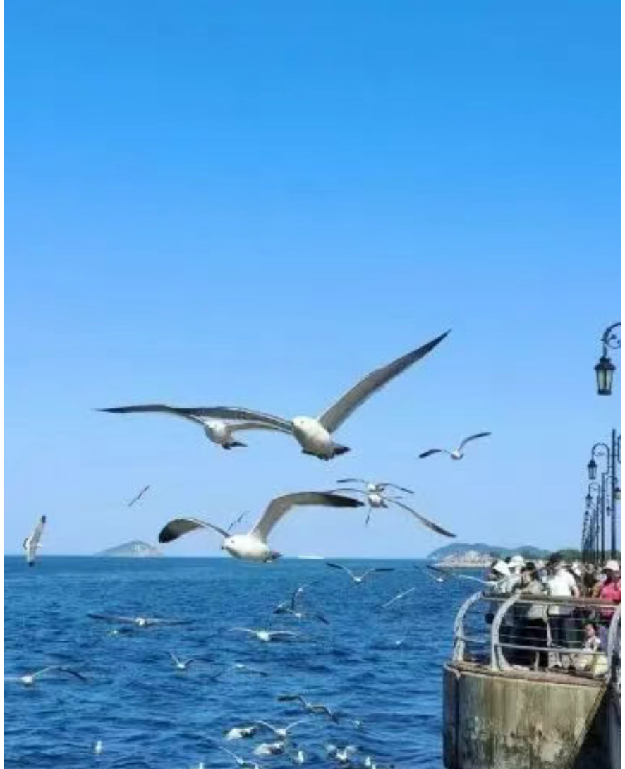 c424c28b11eeb3b98b6997cd84356c70