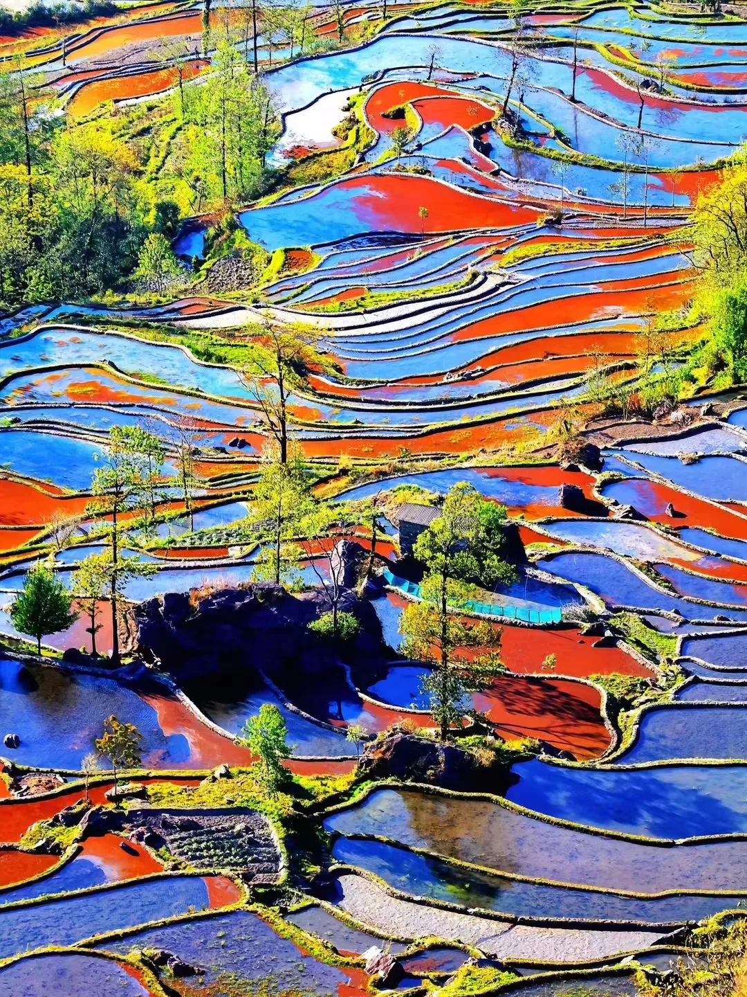 c469fbce04c2bed442937e10feaf9dae-sz_1820245