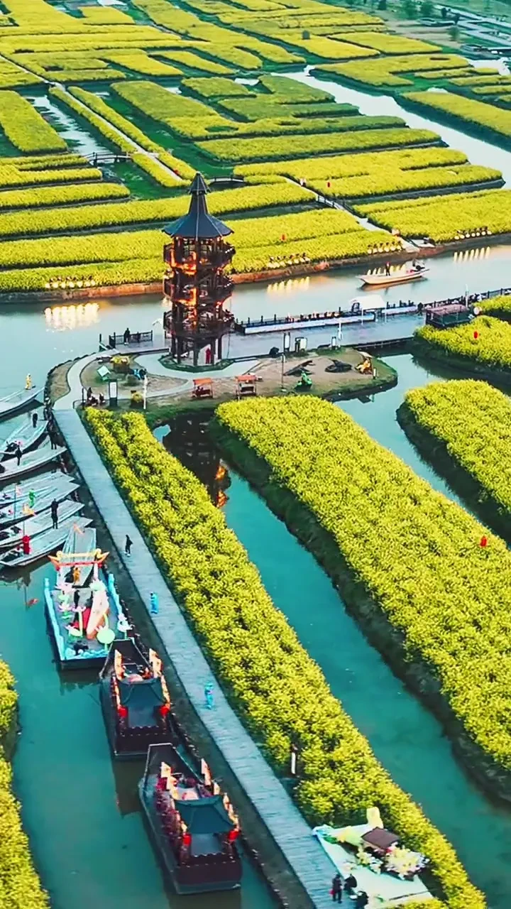 兴化千垛油菜花！双游船·纯玩499【泰州·双游船品质3日游】酒店自助早◆免费棋牌◆全含6餐（2早4正），升级3顿特色餐：螃蟹宴+霸王别鸡+泰州早茶中吃！5A溱湖湿地-游船，4A溱潼古镇，梅园！
