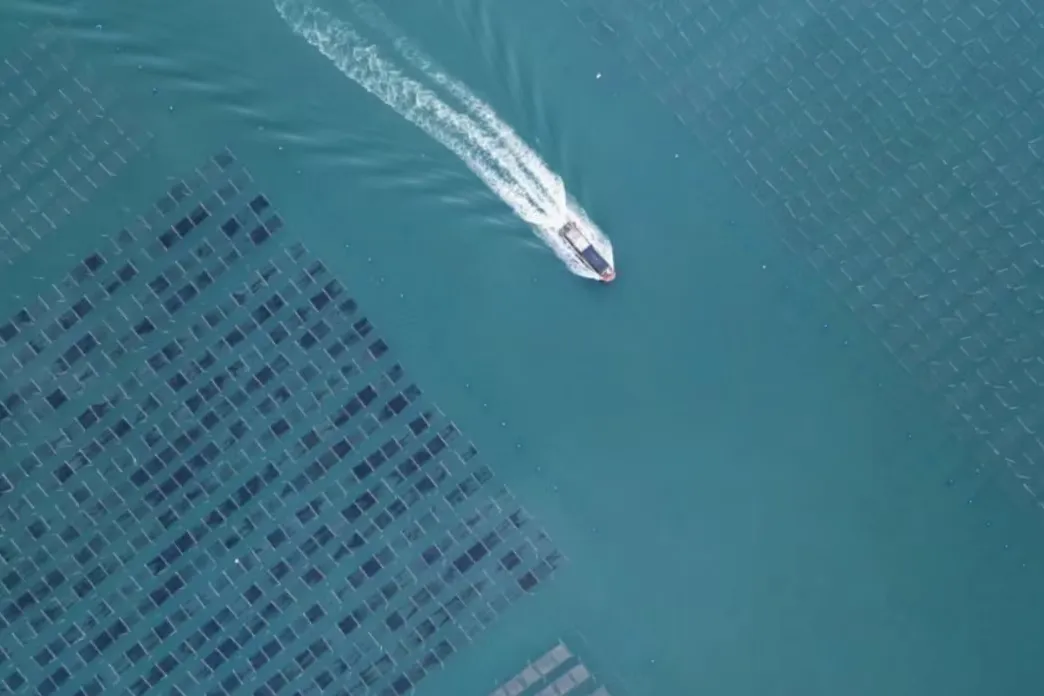 c498d847471fddc8317fa877ef460b82-sz_288645