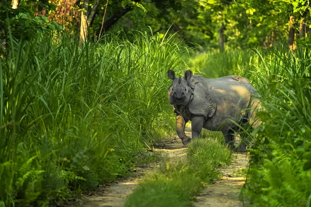 c49f852dfc253f8c726aec903c902c16-sz_481692-1