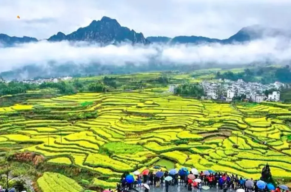 c4bfba79021e3fc6401ba23a133b1bd1-sz_1605549