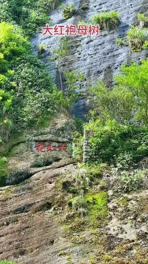 c5005c41219491ca1c01668d04b1045d-sz_173183