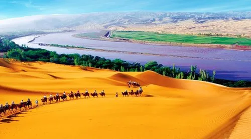 c5397992923e39e85006780109132f8c-sz_50910 c5397992923e39e85006780109132f8c-sz_50910