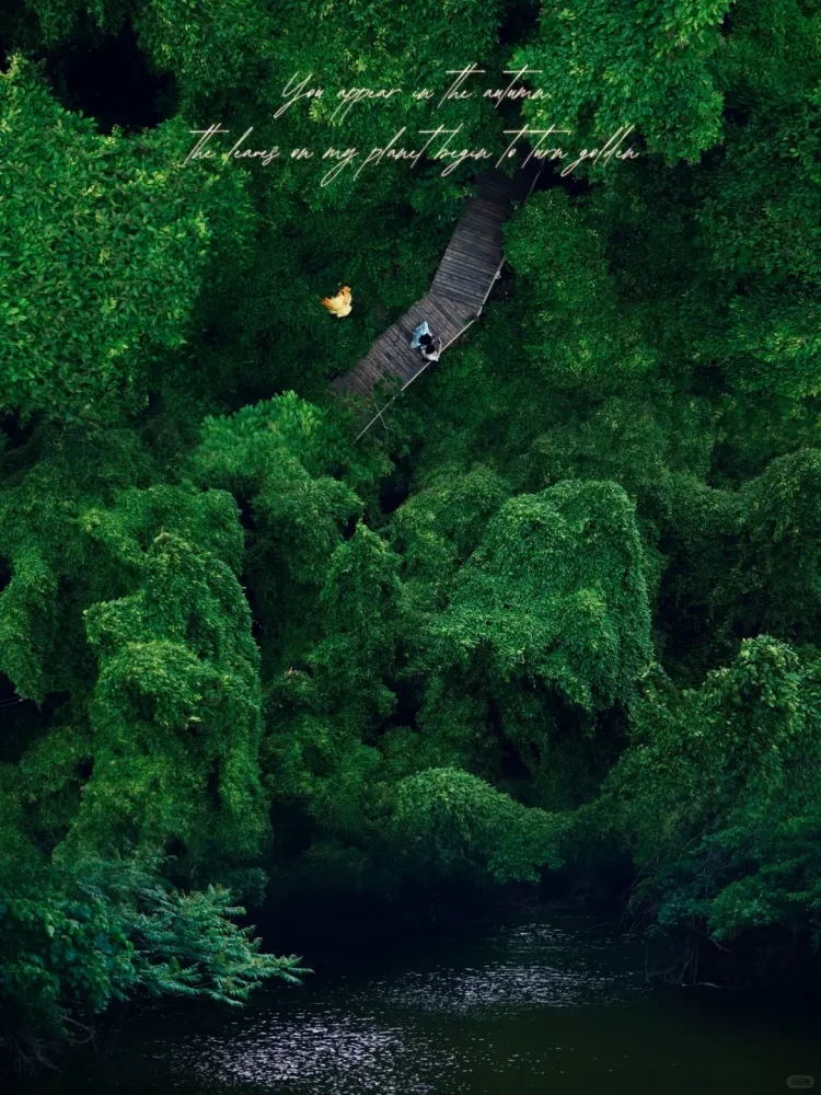 c559704b072679eb17ba7e60a7df6531-sz_3336110