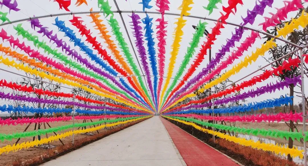 c595f49425fbd8baaa93adce0a03e96a-sz_189654