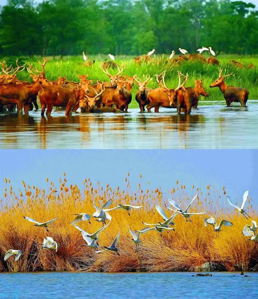 c5d010044a0f98c2f1b1d0272361d083-sz_185714