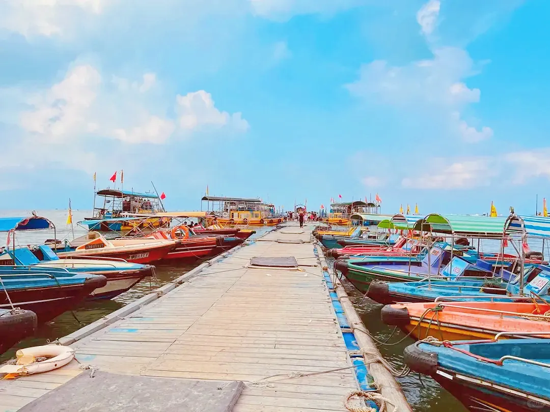 c5d7a512ab93cc90d9915c6f9bac6624-sz_1173146-1 c5d7a512ab93cc90d9915c6f9bac6624-sz_1173146-1