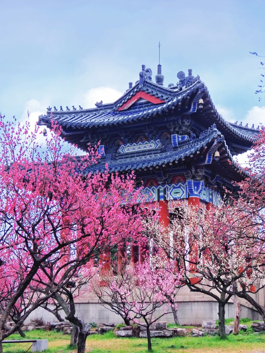 c637141750e06048d643c751b18f6fb8-sz_2722272