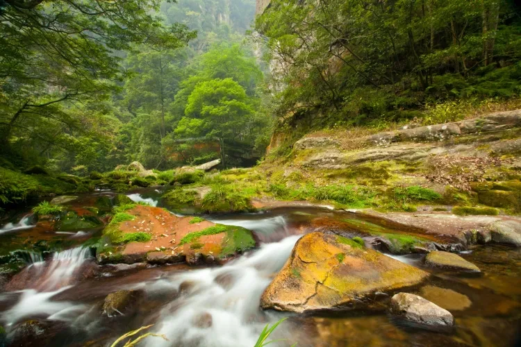 c68f8dc72107664cf1a4a476adfab5b4-sz_2593547