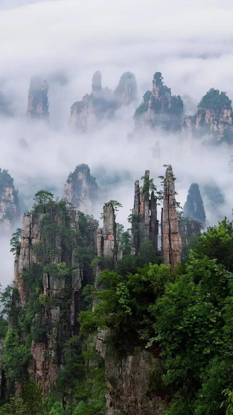 c6de8f363dcdf71daa8a3ba88f2a3172-sz_175152