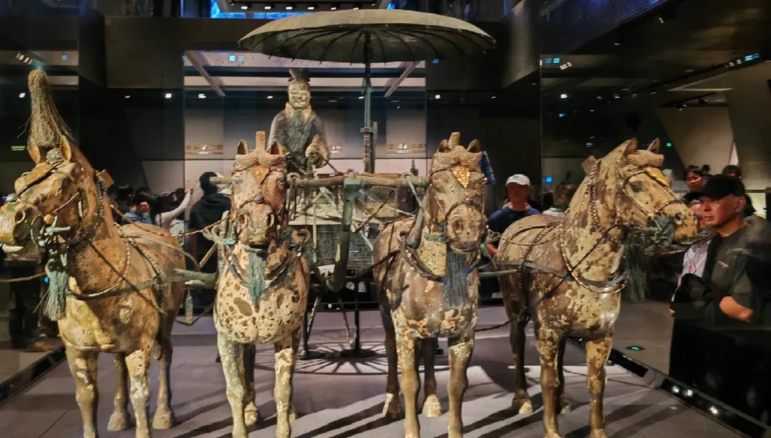 c6f95748d09bffeef61197ba0fb3a74c-sz_1794105