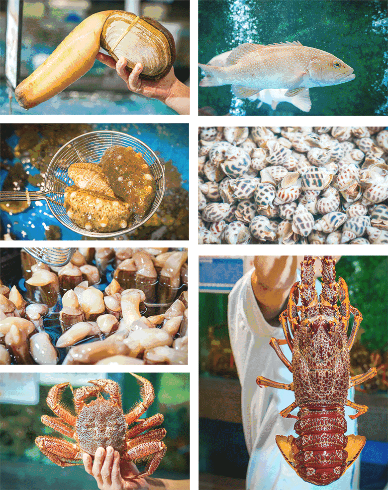 c70d63e5ee8f0c417d0cefea88f3b81a-sz_1076223