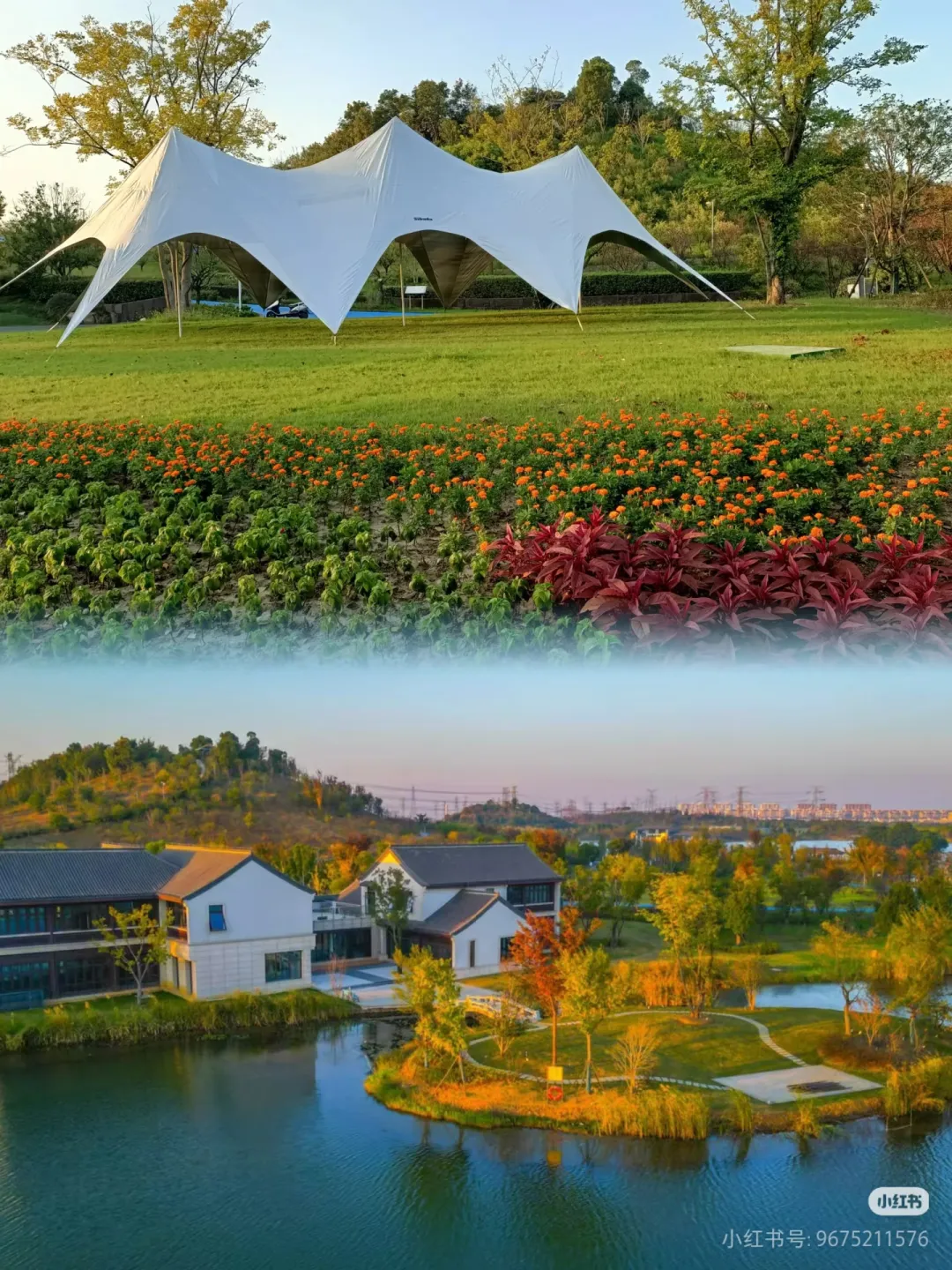 c71bb0d0c01a465fdd0010731445ff2f-sz_1786676