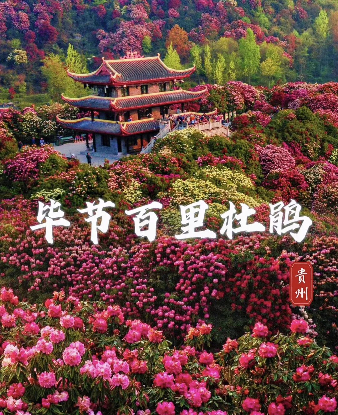 c71bb38bf3d8ea2dac1464a7051b5d28-sz_1245415 c71bb38bf3d8ea2dac1464a7051b5d28-sz_1245415