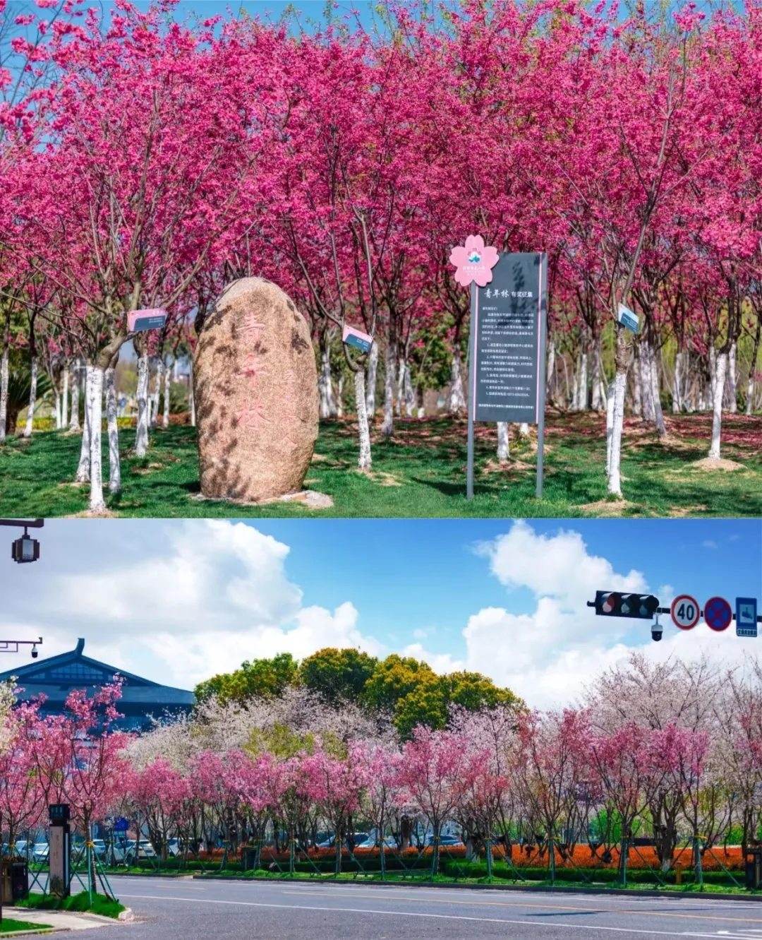 c7c41476a2f615f20f08a72340d17f2e-sz_1681740