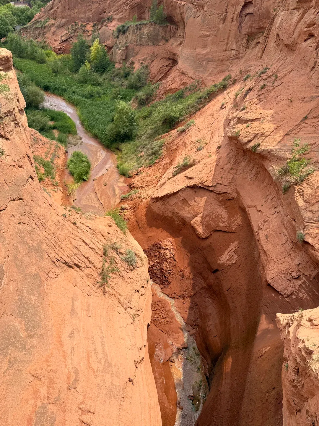 c8bcda5e8809720e3b26c50d9b28502f-sz_3405332