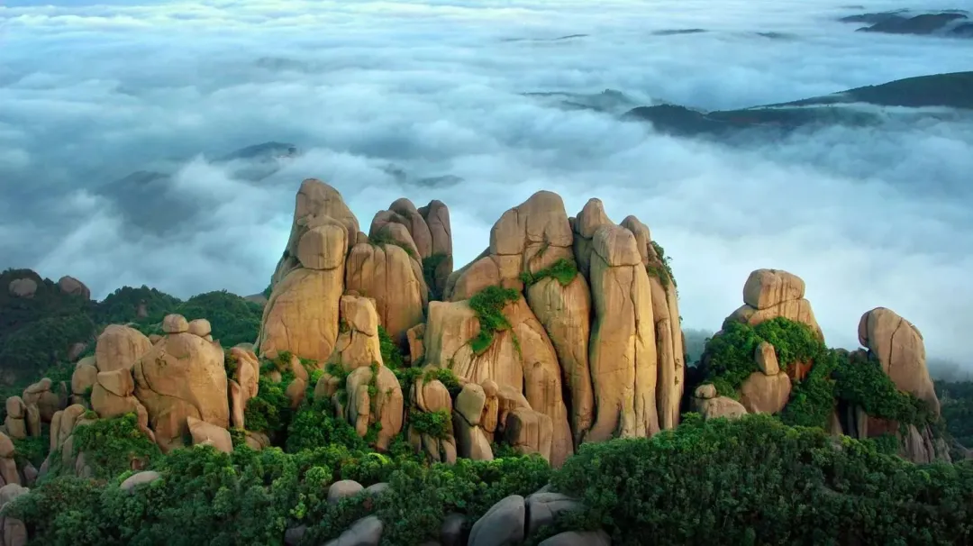 c8e74c904207a0b9ed52875a95e2628c-sz_201157 c8e74c904207a0b9ed52875a95e2628c-sz_201157