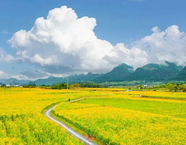 c928e02aafe3d0971e4ee13bdd80d69e-sz_711907