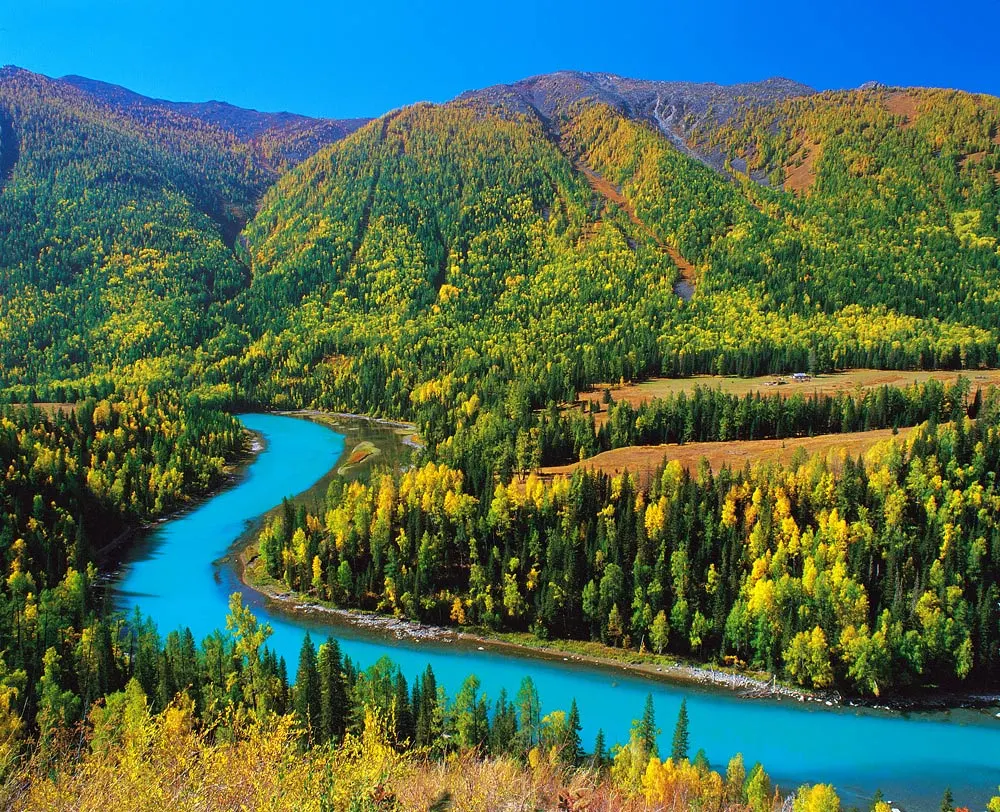 c92dc14a4b99a03a2fb4b5d762fb1a02-sz_299764