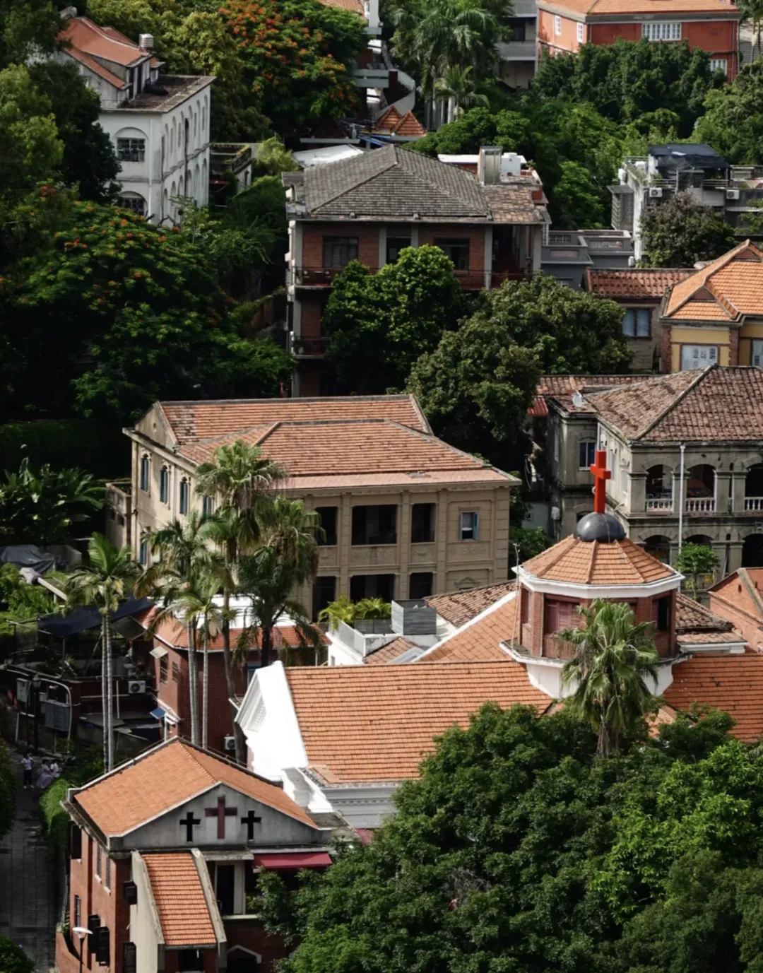 c97b0064b11424ef617324fb555f5d5b-sz_3996306