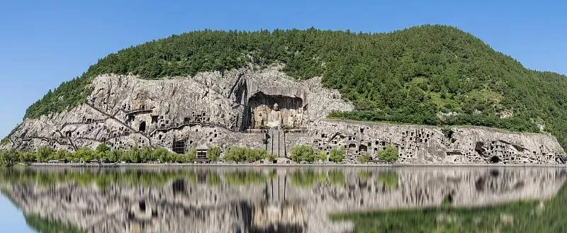 ca0653fd229d22311a7bda399529bb66-sz_479439