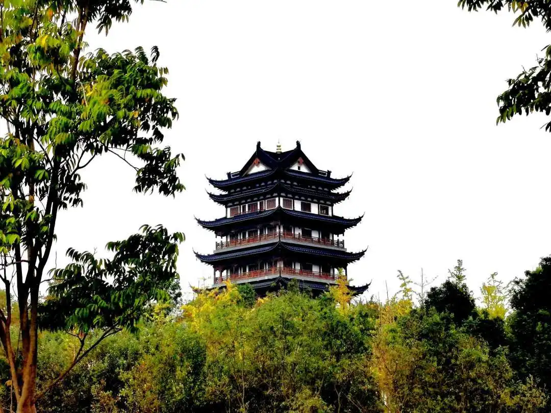 ca42fe5b716980b1dc2dbd707063fd95-sz_125154