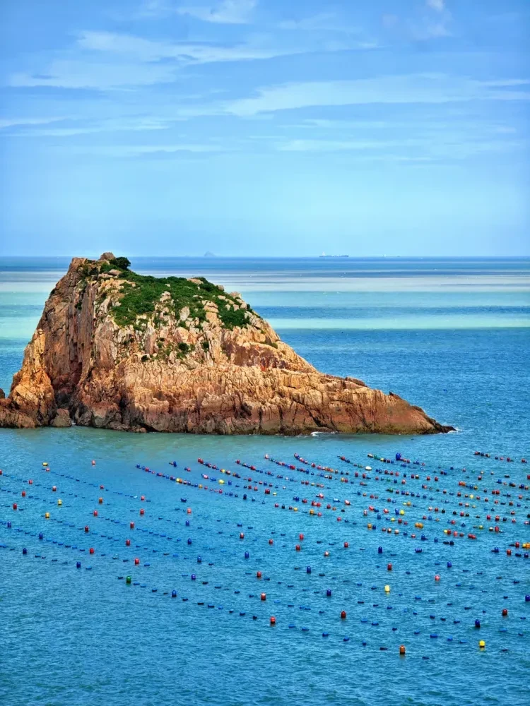 cb224e775f98d6a49d6091d95ea0721c-sz_2917929