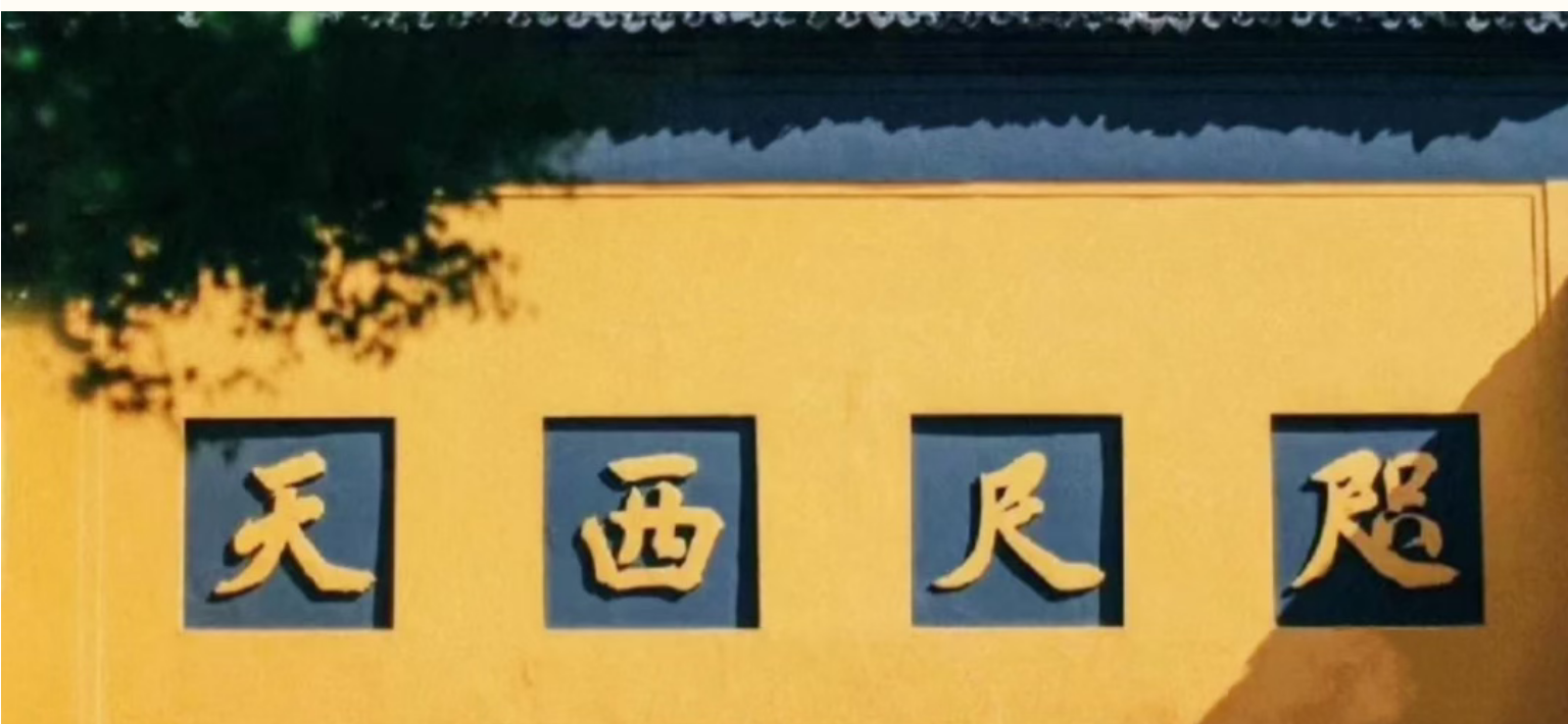 cbbf839337254833ff10a858c995d6e1