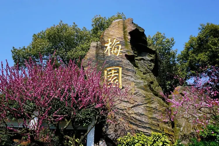 cbf75534c2ffa7e38f260e8180f1e73c-sz_313871