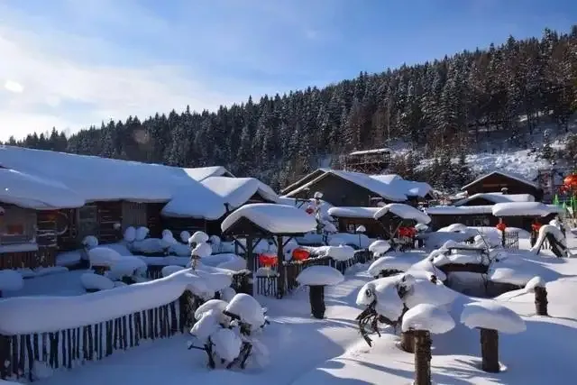 cbfb11d5608725698d5b93658492da8a-sz_185373