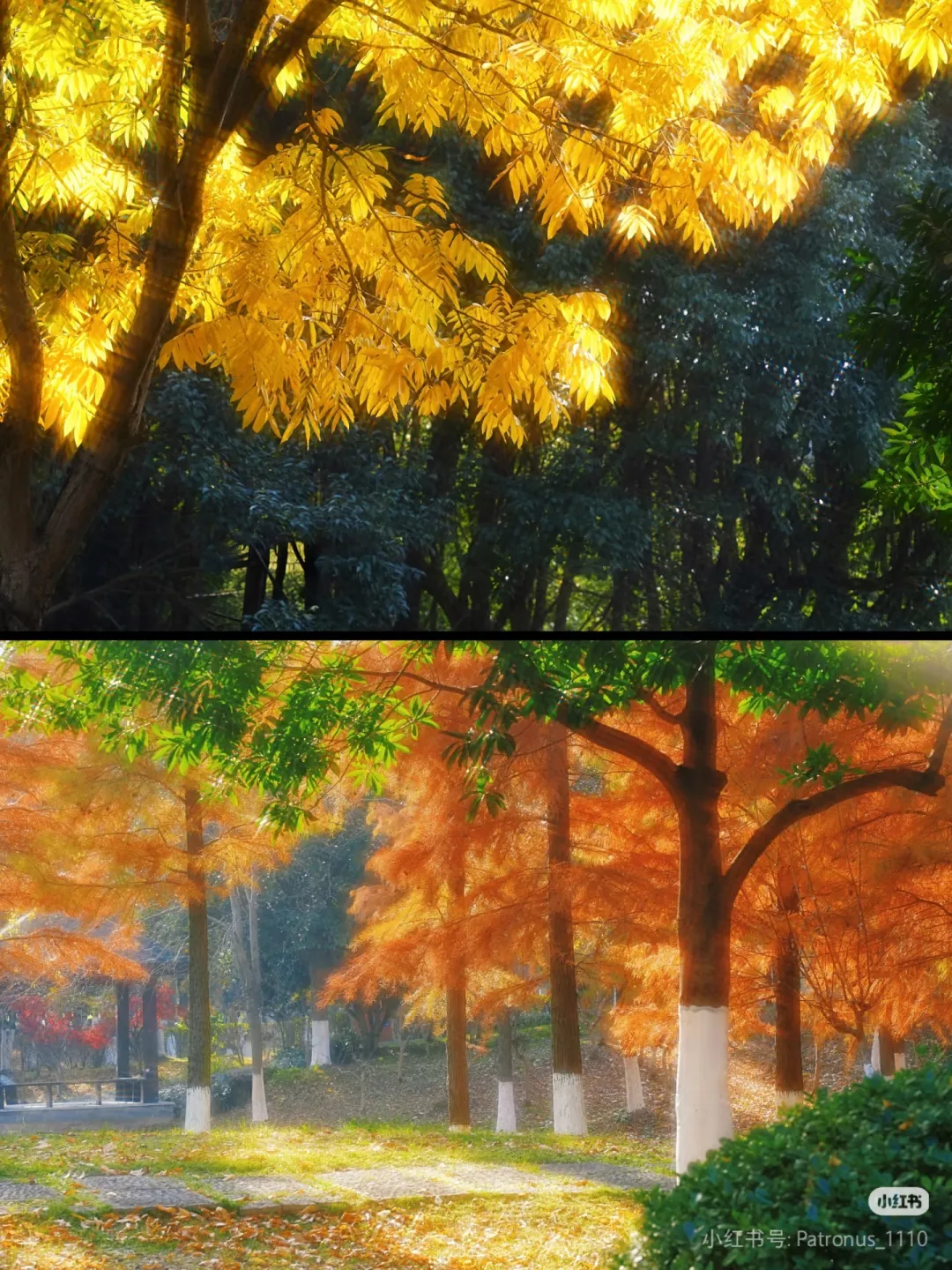 cc175d6f9ba5da734b61a37fc6e40702-sz_2123561-1 cc175d6f9ba5da734b61a37fc6e40702-sz_2123561-1