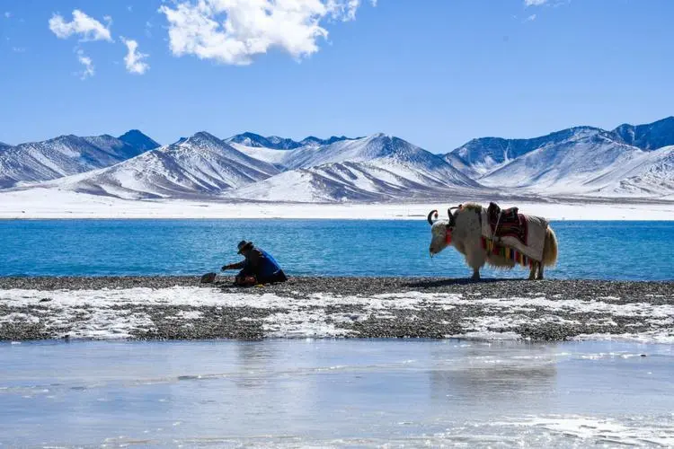 cc39edb593df841baa9ea327c3c9506f-sz_68794