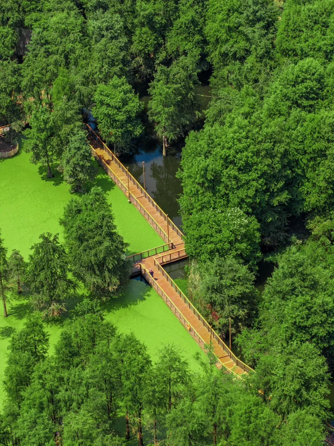 cc8531f5209701297aba6aa42778fa8d-sz_4137416